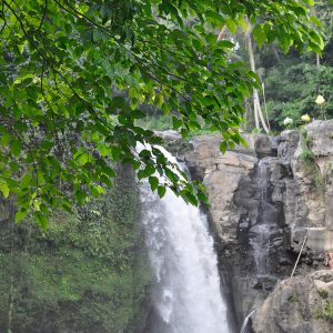 Waterfall Ubud Bali ©ItsM.Sherif